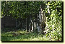 _IMG0800.JPG