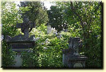 _IMG0850.JPG