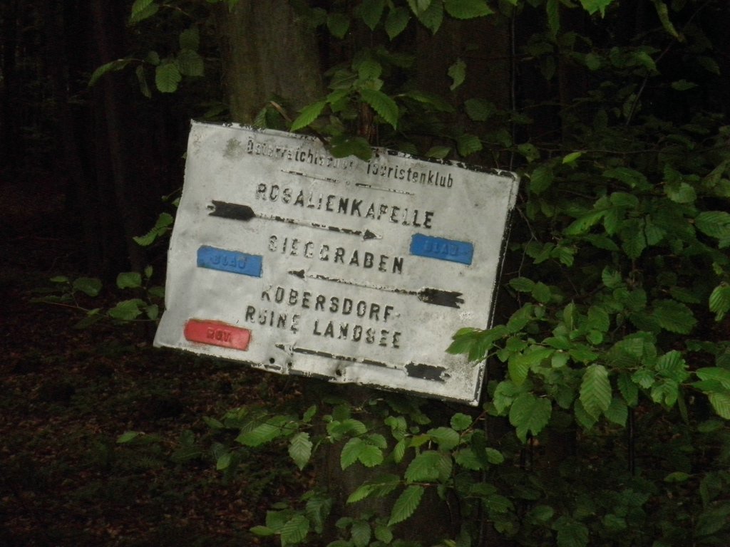 P5220020.JPG