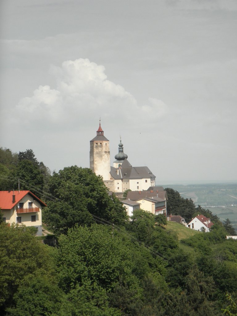 P5220048.JPG