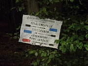 P5220020.JPG