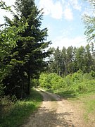 P5220022.JPG