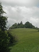 P5220029.JPG