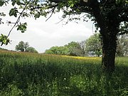 P5220031.JPG