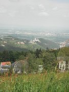 P5220038.JPG