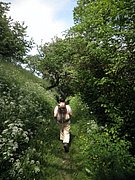 P5220047.JPG