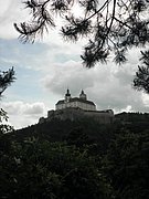 P5220067.JPG
