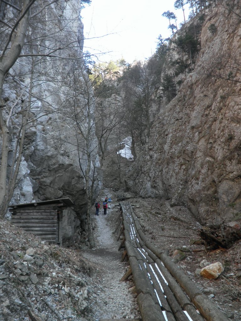 P3200008.JPG
