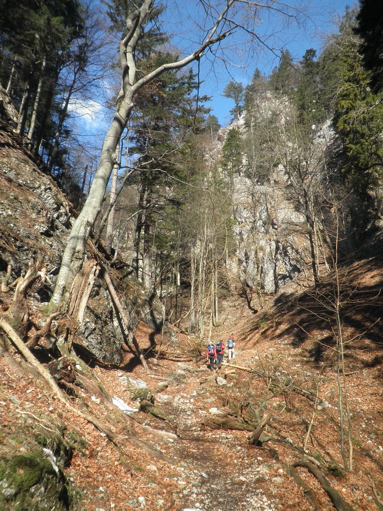 P3200010.JPG