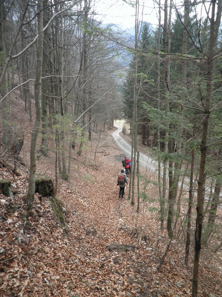 P3200033.JPG