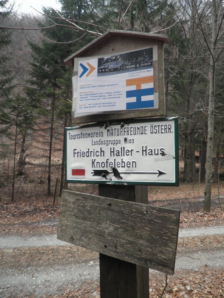 P3200034.JPG