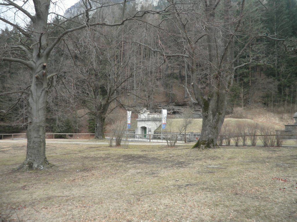 P3200035.JPG