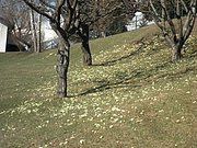 P3200005.JPG