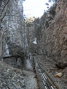 P3200008.JPG