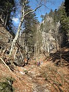 P3200010.JPG