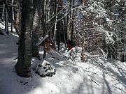 P3200013.JPG