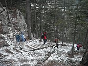 P3200029.JPG