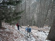 P3200031.JPG