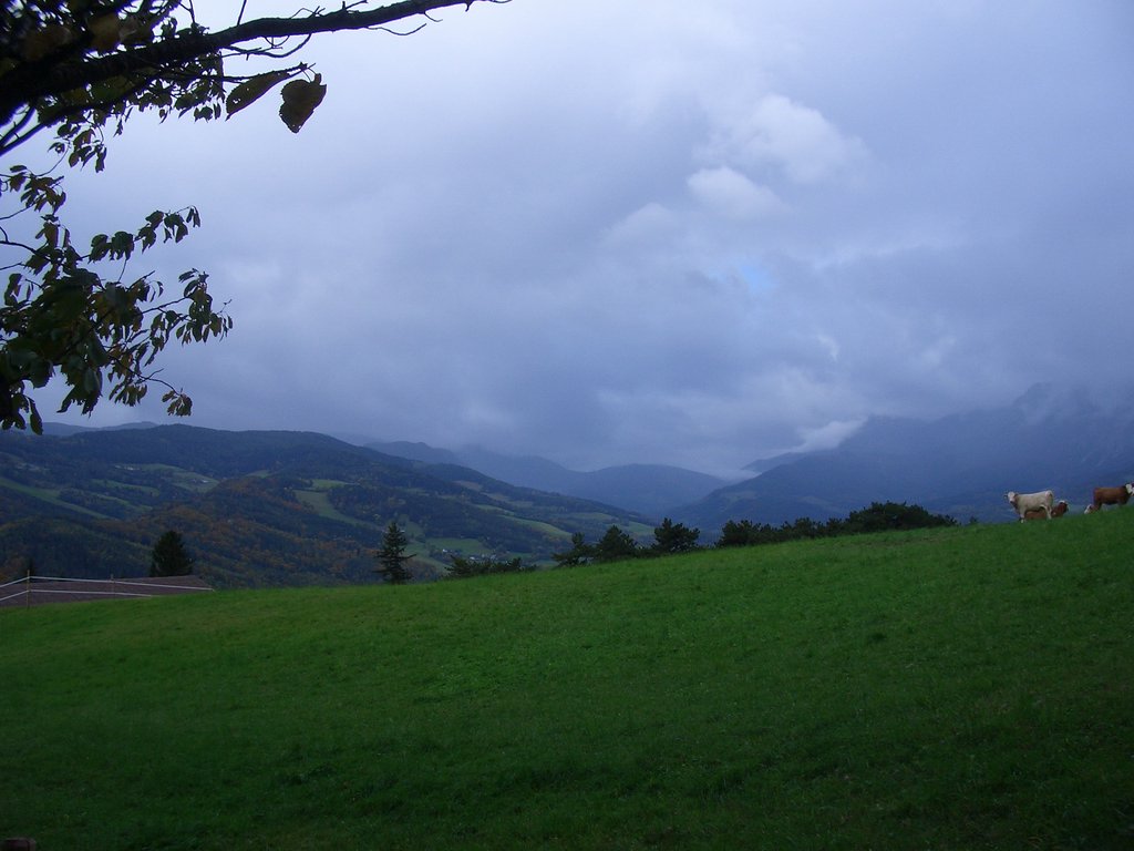 CIMG2741.JPG