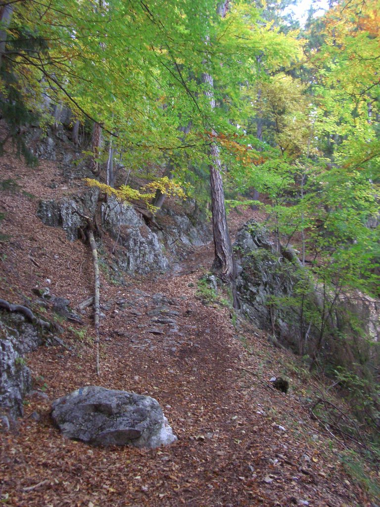 CIMG2745.JPG