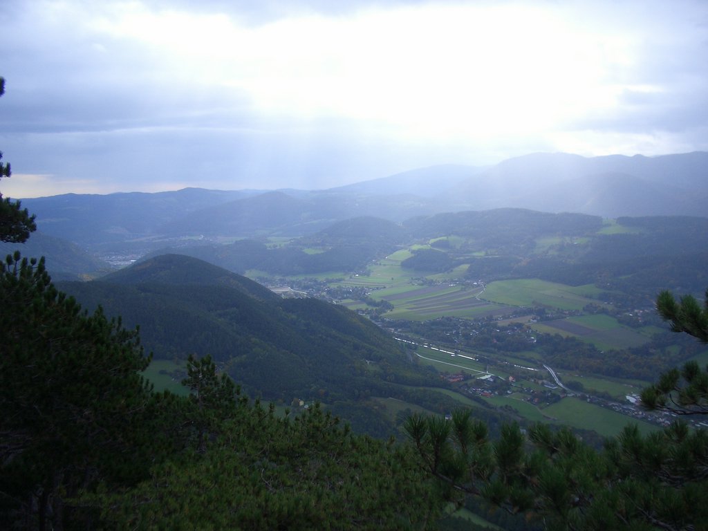 CIMG2752.JPG