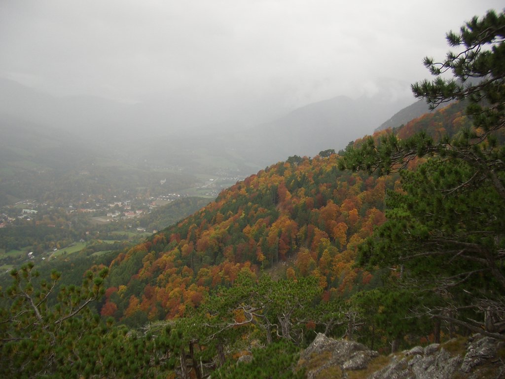 CIMG2754.JPG