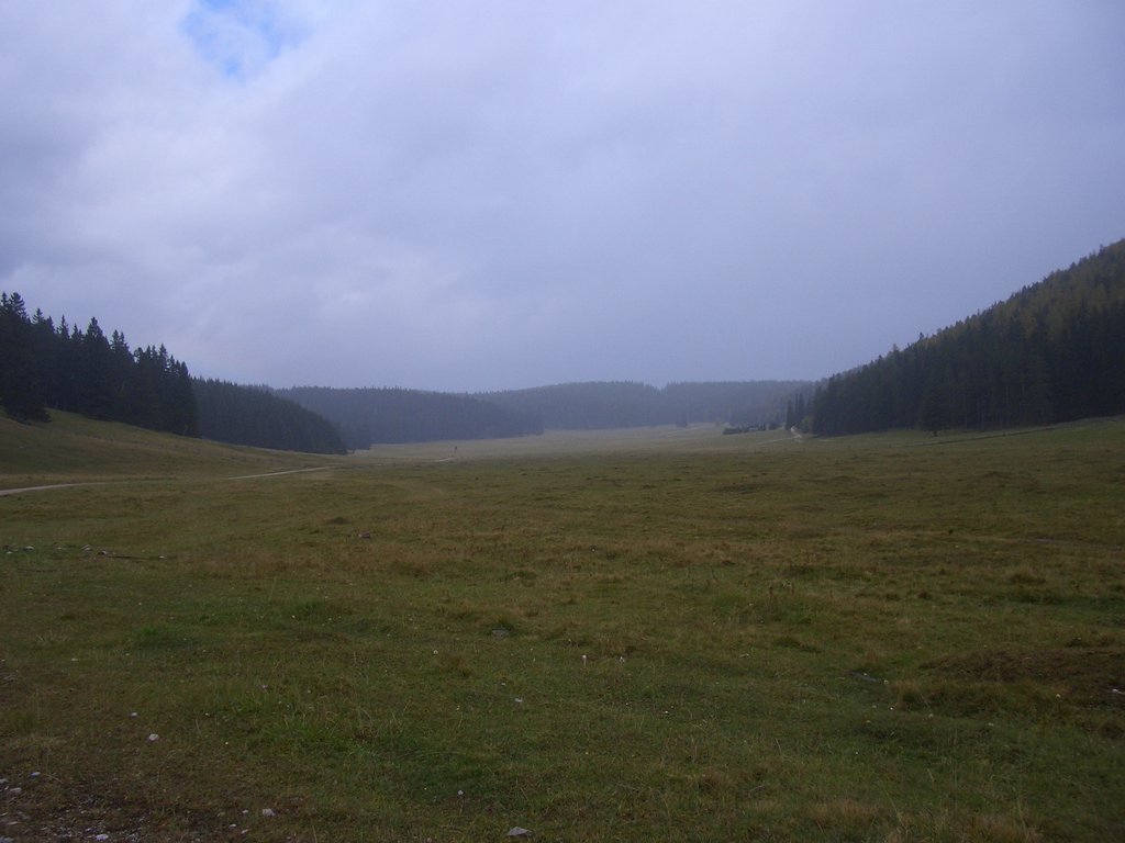 CIMG2774.JPG
