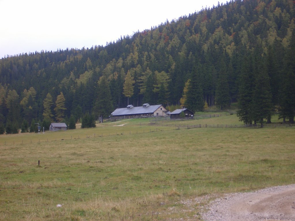 CIMG2780.JPG