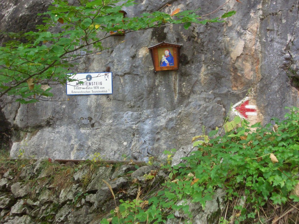 CIMG2819.JPG