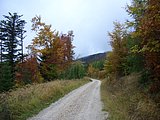CIMG2785.JPG