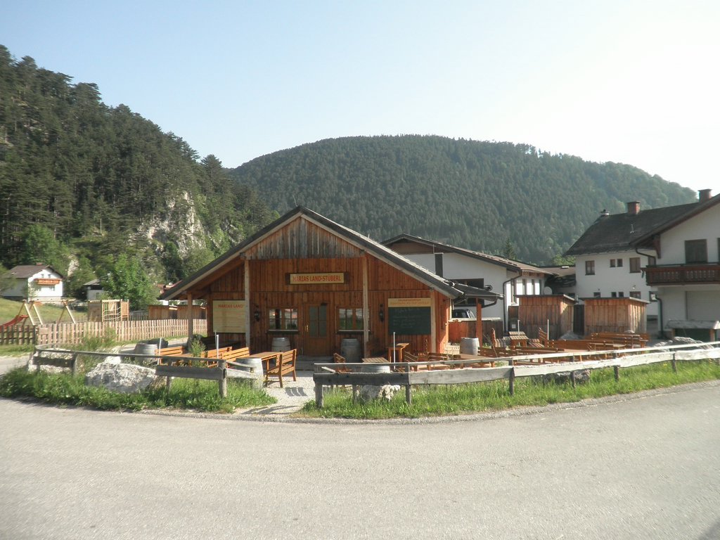 P6120001.JPG
