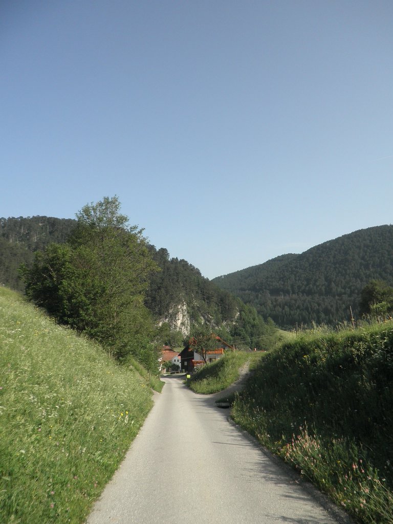 P6120003.JPG