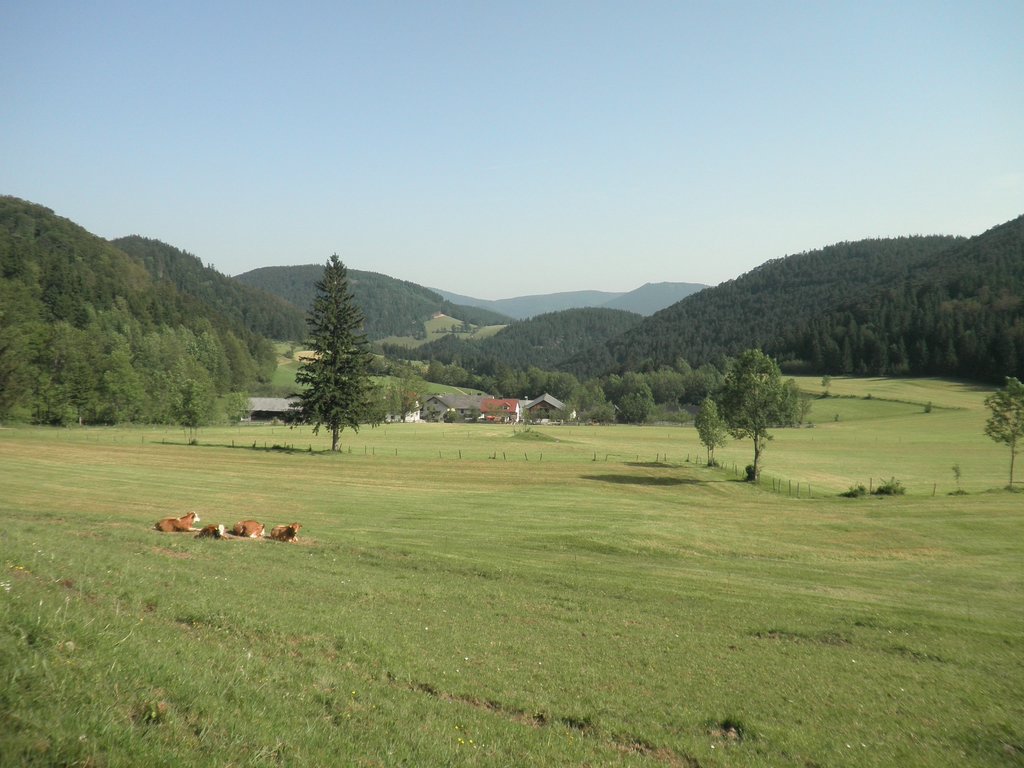 P6120006.JPG