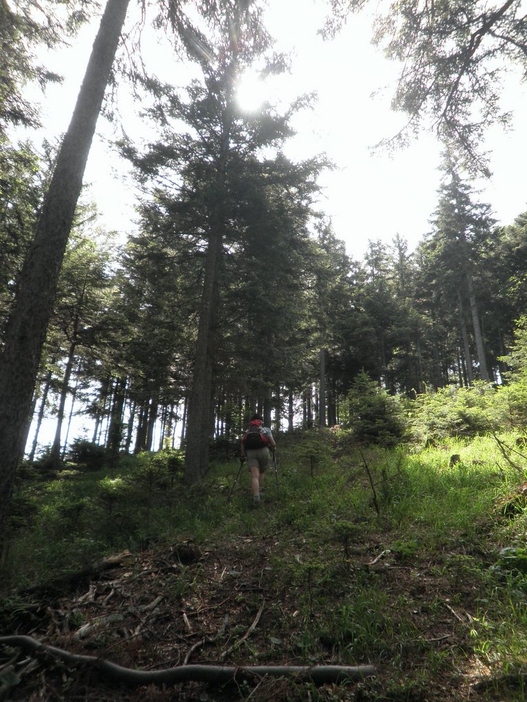 P6120016.JPG