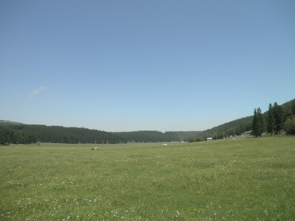 P6120040.JPG