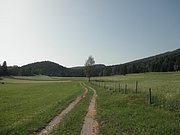 P6120004.JPG
