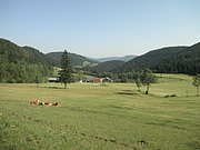 P6120006.JPG