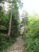 P6120009.JPG