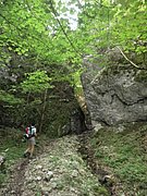 P6120011.JPG