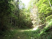 P6120014.JPG