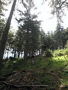 P6120016.JPG
