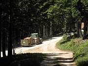 P6120024.JPG
