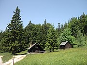 P6120026.JPG