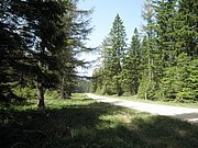 P6120028.JPG