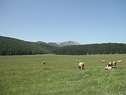 P6120035.JPG