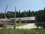 P6120037.JPG