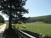P6120038.JPG