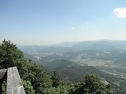P6120053.JPG