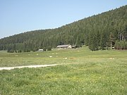 P6120063.JPG