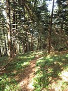 P6120071.JPG
